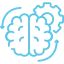 brain